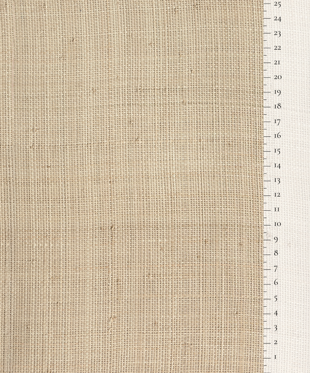 Scale of the product
