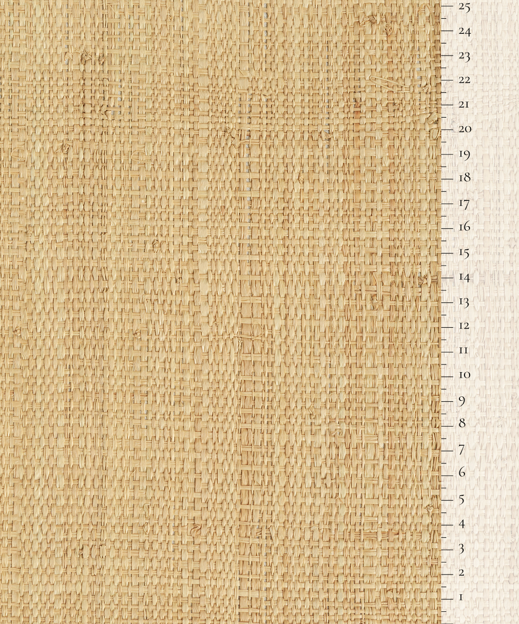 Scale of the product