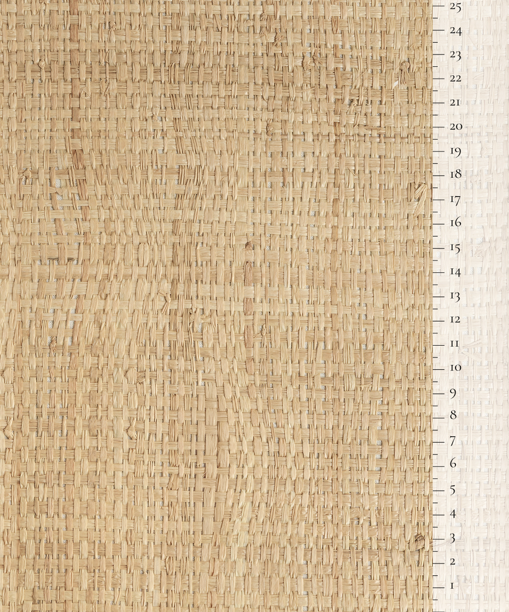 Scale of the product