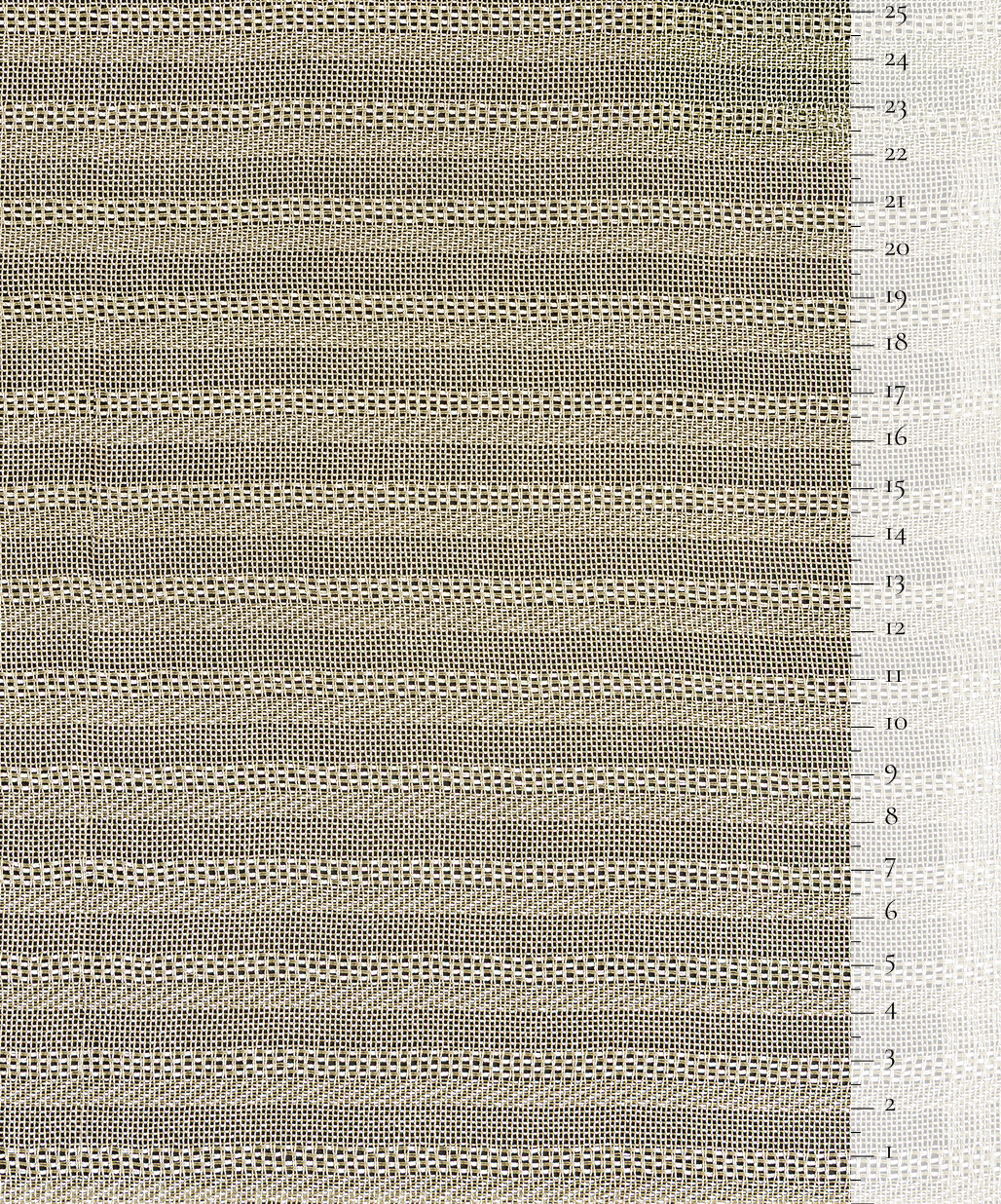 Scale of the product