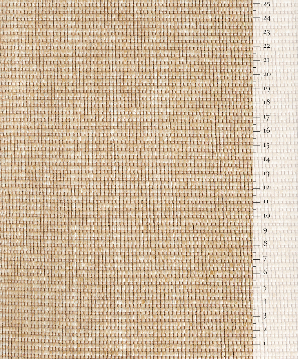 Scale of the product