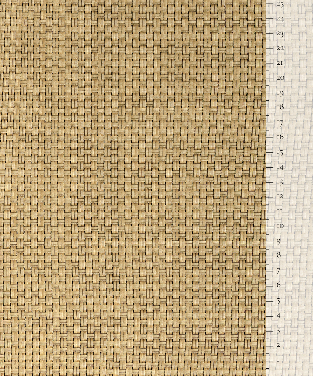 Scale of the product
