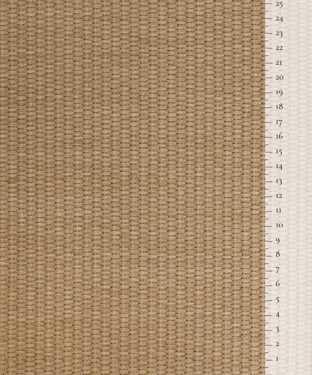 Scale of the product