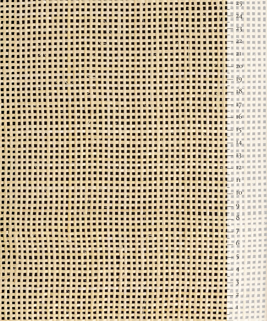 Scale of the product