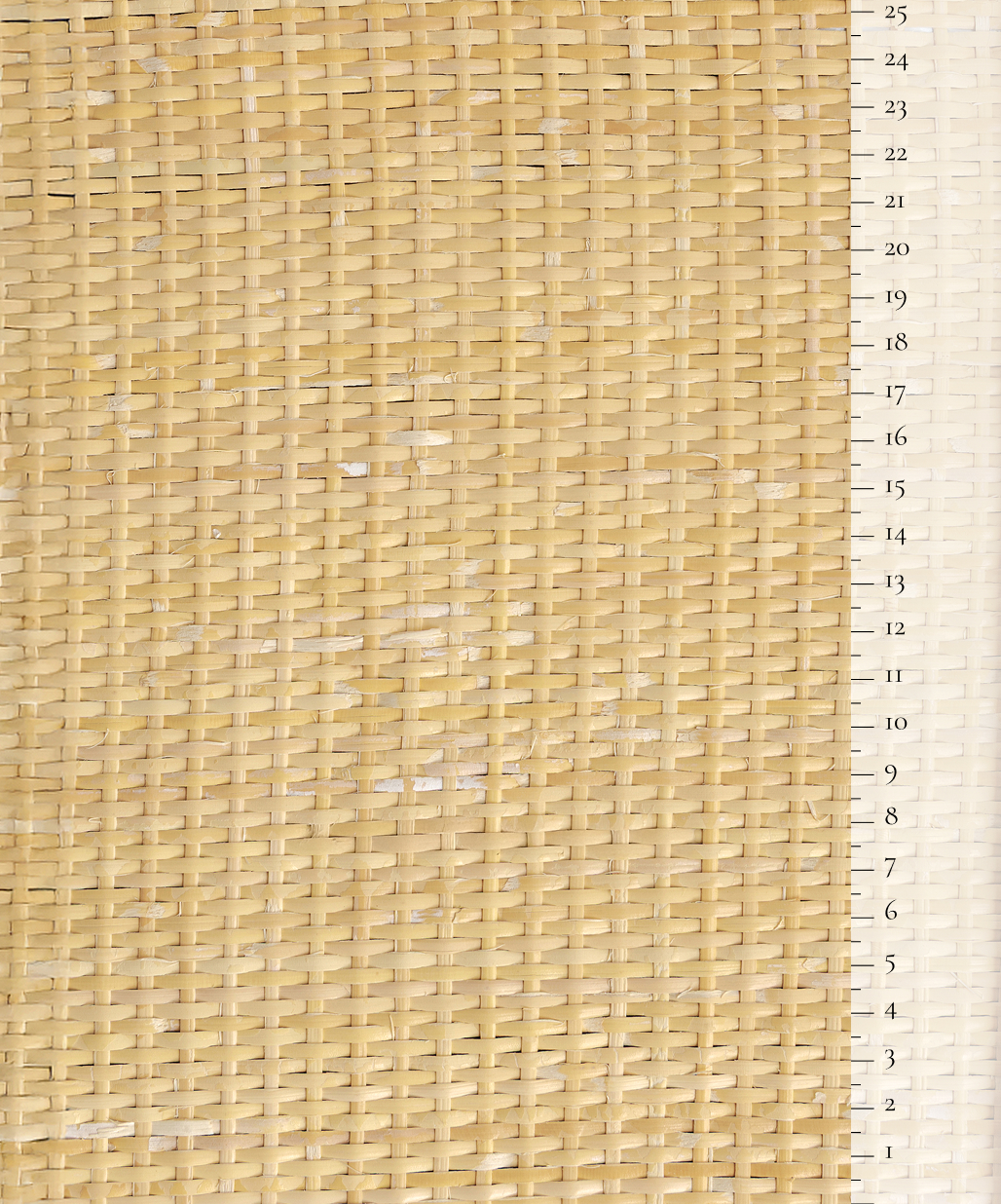 Scale of the product