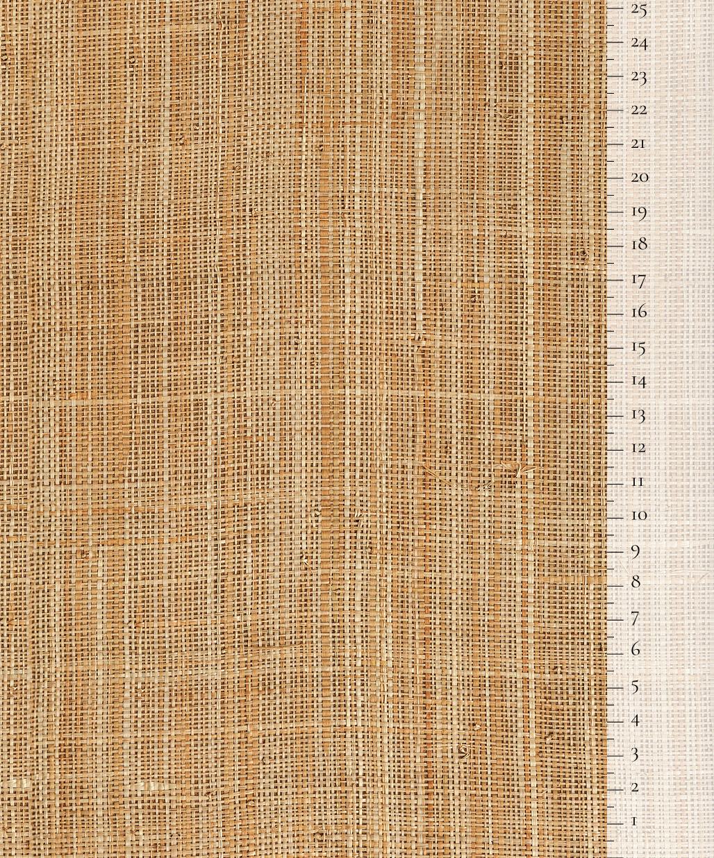 Scale of the product