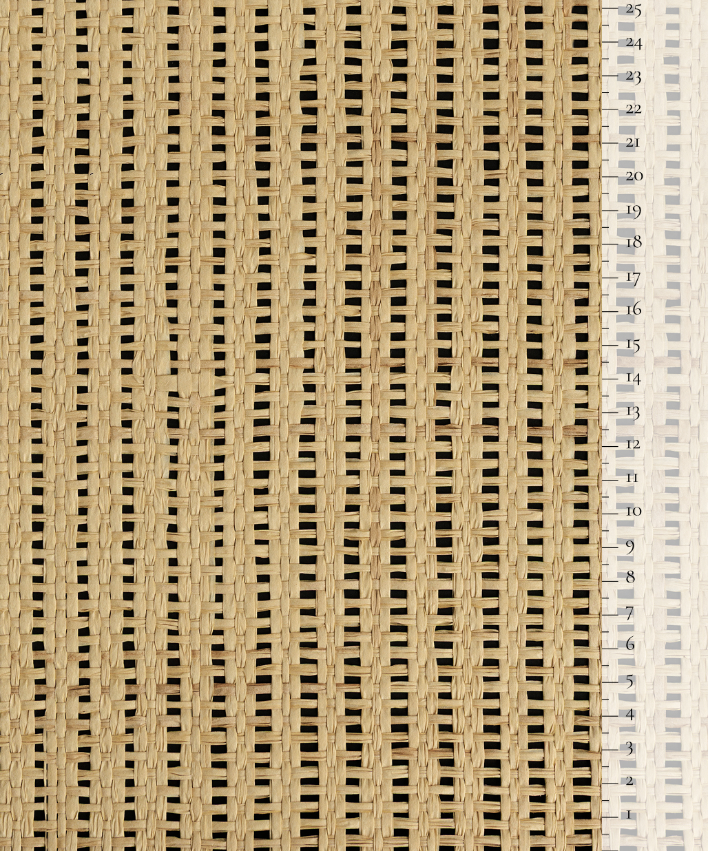 Scale of the product