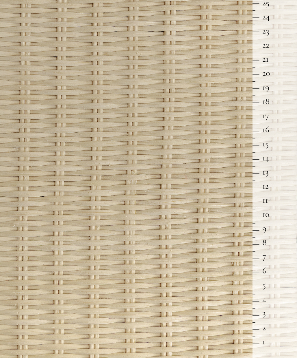 Scale of the product